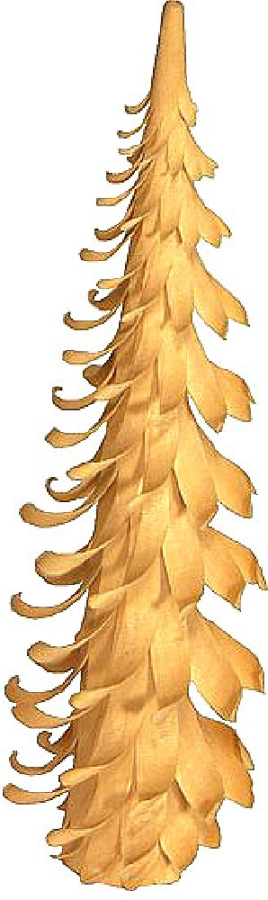 Spiralbaum - 5 cm